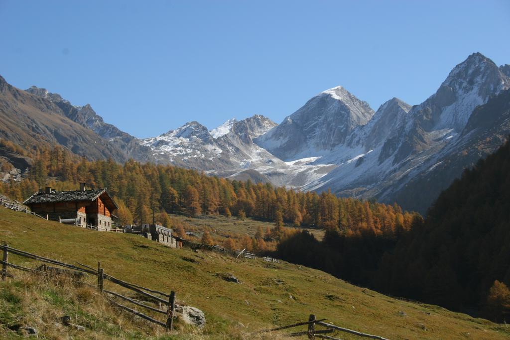 Hotel Pension Lydia Сеналес Экстерьер фото